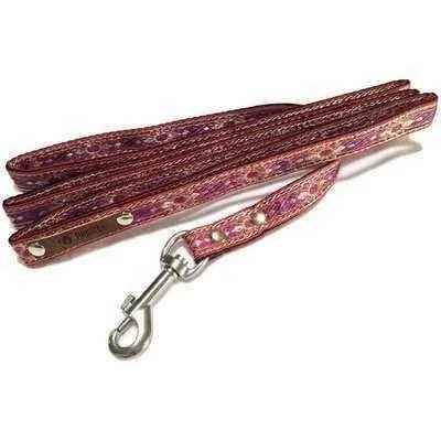 Finnigan's Fairy-Tale Dog Collar Set