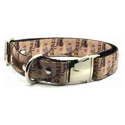 Practical Pup Couture Glam Collar Set for Big Dogs