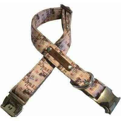 Practical Pup Couture Glam Collar Set for Big Dogs